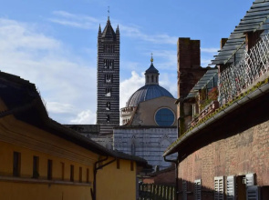 Siena Centro Civetta