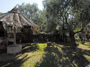Antoniadis Studios