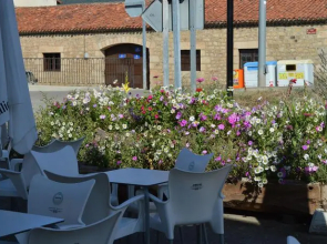 Hostal Revinuesa