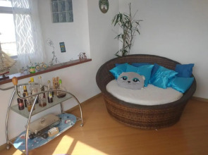 Uma experiência em um bairro arborizado em Curitiba