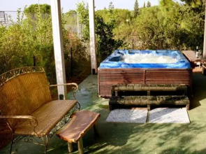 Zimmer Gold And Purple Blue