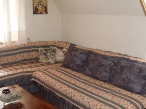 Apartment Pejovic