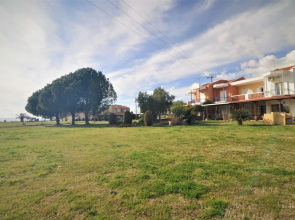 Zennova 25 Blue Pearl Tripotamos