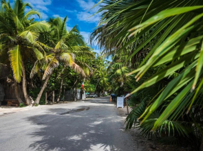 Tulum Aura Beach