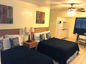 Hollywood Beach Seagull