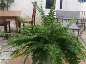 Chambre privée dans maison centre-ville Sens Petit-déjeuner compris