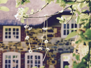 Stunning 3-bed Thatched Cottage in Dorset