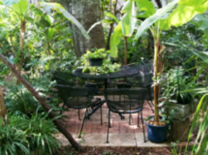 Castle Garden Bed & Breakfast