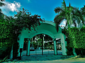 Tulipanes Cancun