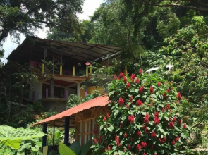 Cabañas y Casas del Árbol La Huerta