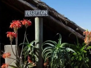 Swell Eco Lodge