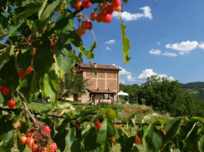 B&B Al Merlo Angelico