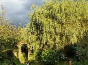 Rowlands Castle BnB
