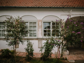 Plitzner Belvárosi Apartmanház