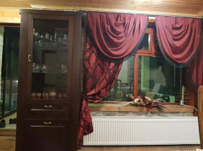 Вила Поликсения Петиня