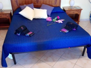 Paradise Bed & Breakfast