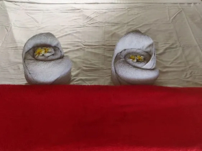 Harmony Healing Resort