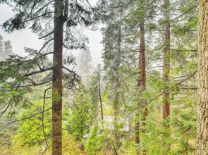 3 Mi to Lake Arrowhead Village: Pine-view Home!