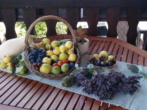 Cro Behar 1 Apartment