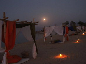 Ayla Camp