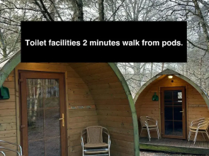 Pine Marten Bar The Pods