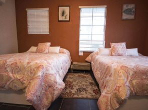 Beds n' Drinks Hostel