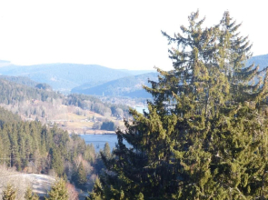 Seeblick