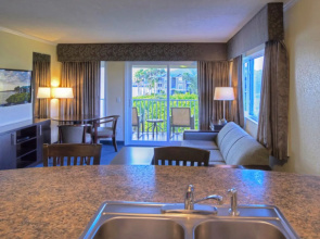 Tampa Waterfront 14179