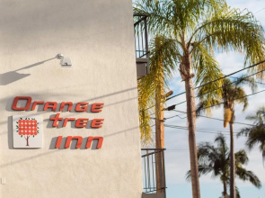 Orange Tree Inn