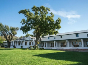 d'Olyfboom Guest Rooms