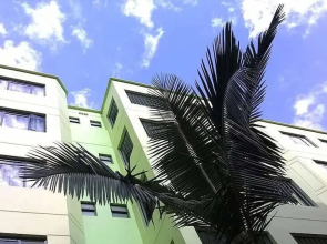 Pinnacle Court Apartments