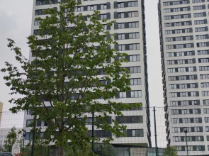 Апартаменты на улице Немировича-Данченко 158