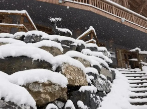 White Valley Lodge And Spa