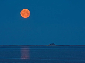 Ferienwohnungen am Aussendeich