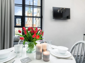 Nice Apartment in the Old Town
