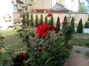 Apartments Sarajevo Nedžarići