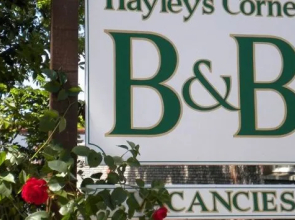 Hayleys Corner