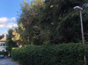 Alloggio Turistico La Panoramica - Bracciano (Roma)