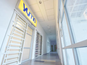 The CEO Duplex Studio Suite