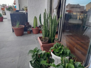 Fran's house