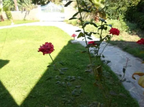 Villa Basil Apart Hotel