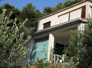 Apartment Dijana