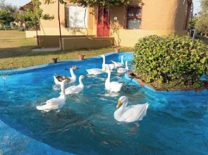 Arise Rustic Village Resort