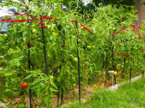 Yangpyeong Healing Day Pension