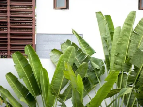 Sanya Mountain and Sea Resort Villa