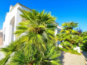 Villa Casa Kasijan Zadarvillas