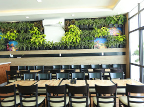 Vivian Hotel Saigon Airport