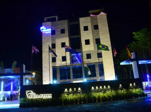 Dolphin Chocolate Inn