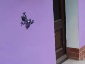 Elbenland Apartments & Bungalows