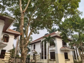 Van Xuan Royal Hotel